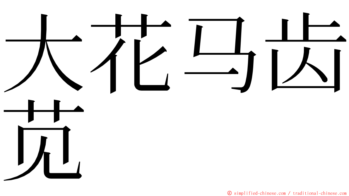 大花马齿苋 ming font