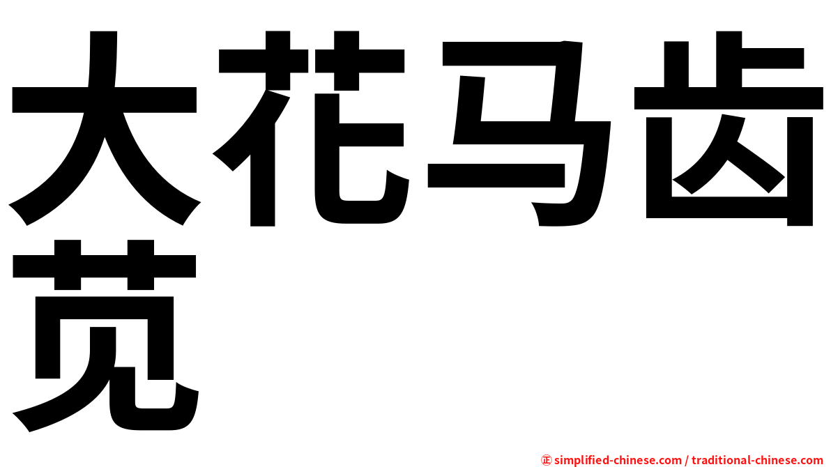 大花马齿苋