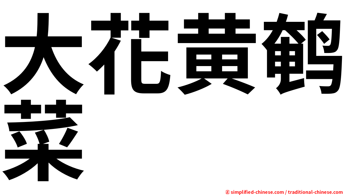 大花黄鹌菜
