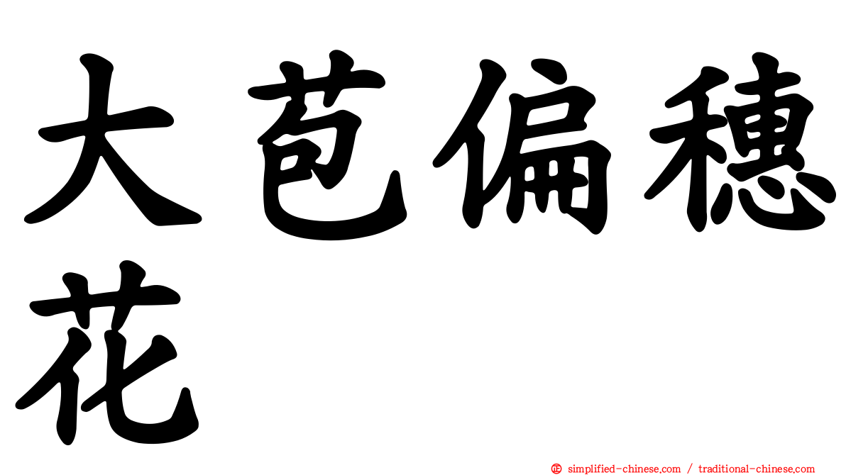 大苞偏穗花