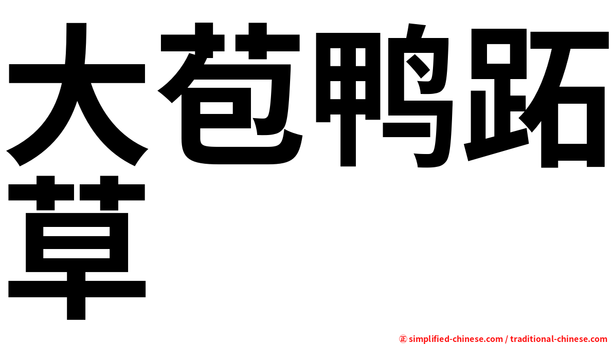 大苞鸭跖草