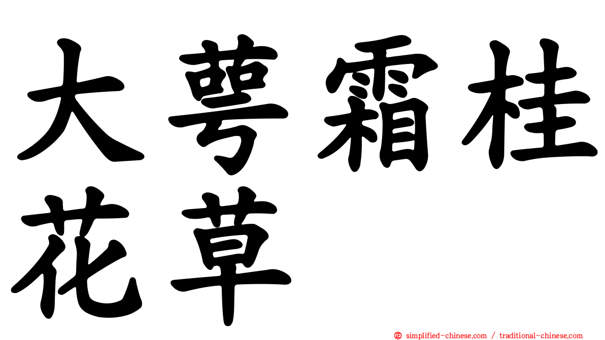 大萼霜桂花草