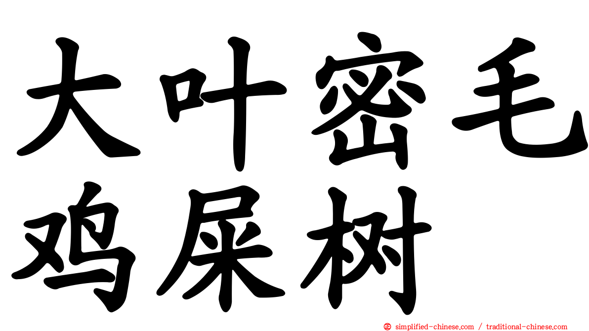 大叶密毛鸡屎树