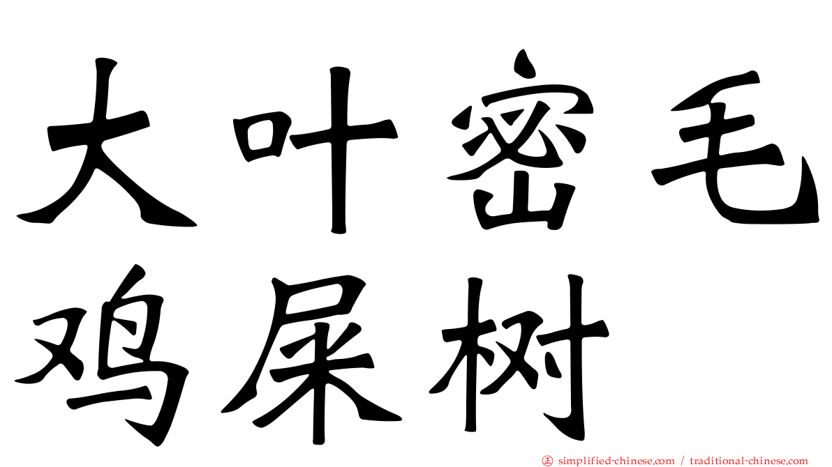 大叶密毛鸡屎树