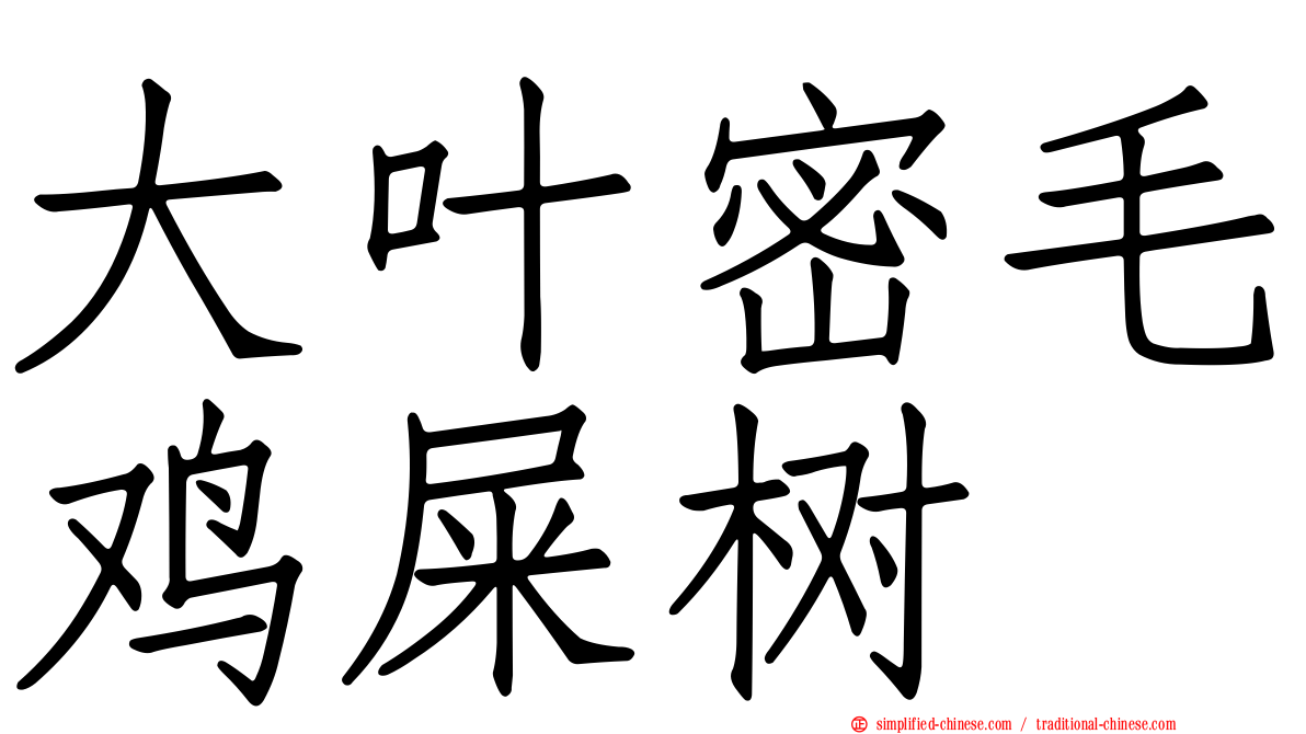 大叶密毛鸡屎树