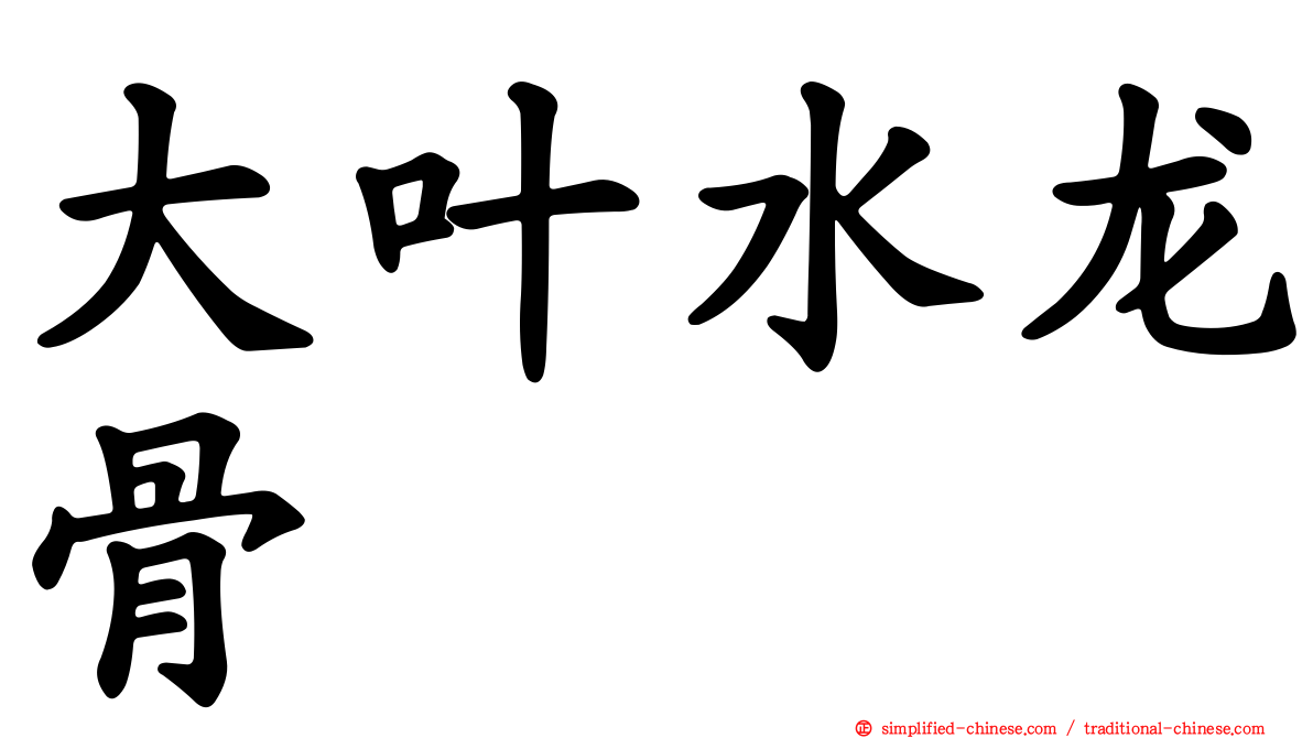 大叶水龙骨