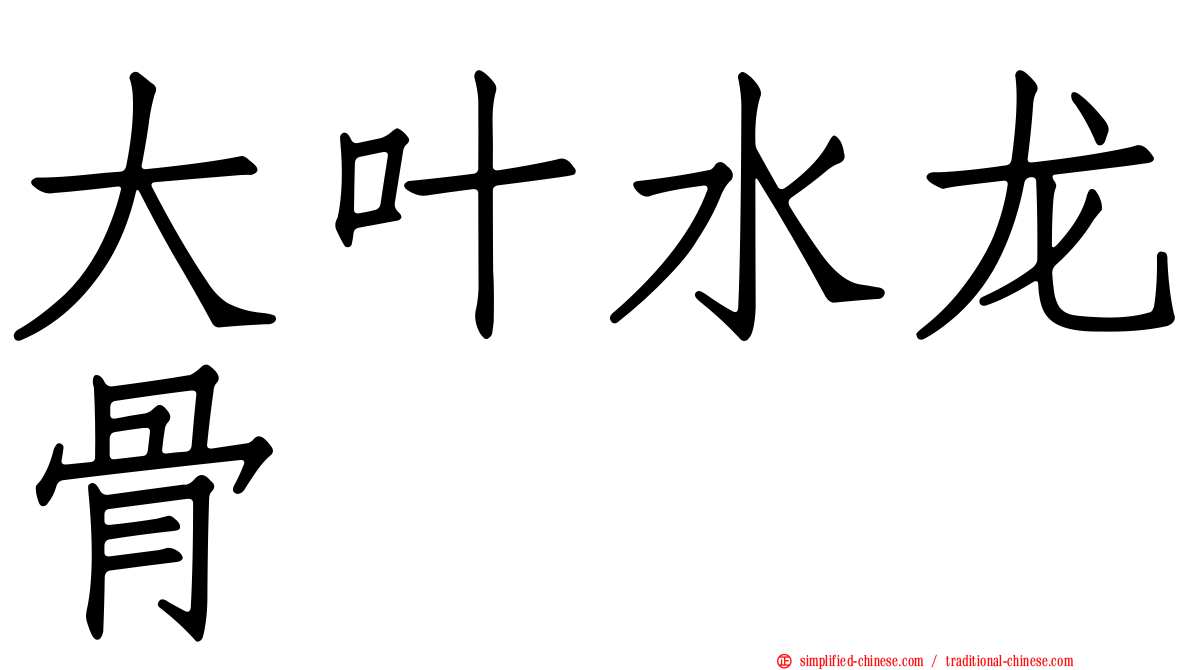 大叶水龙骨