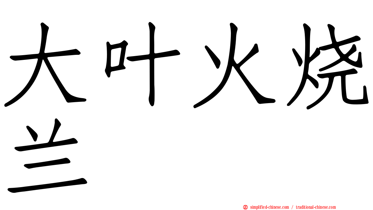 大叶火烧兰