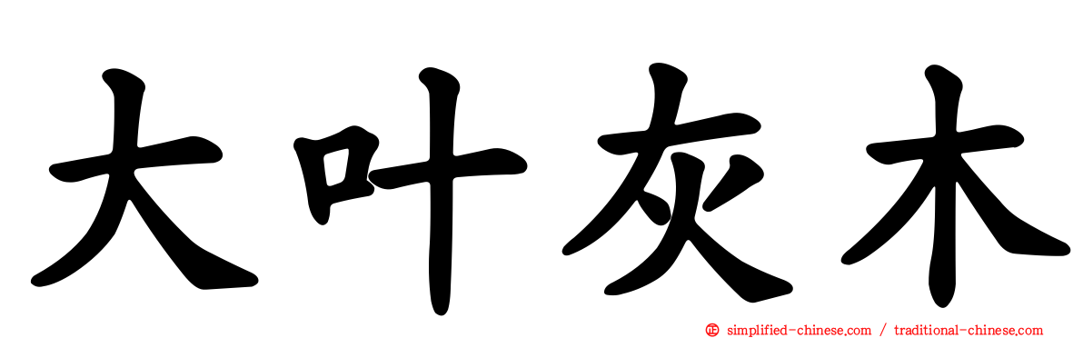 大叶灰木