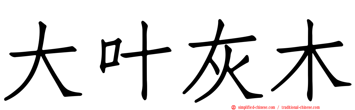 大叶灰木