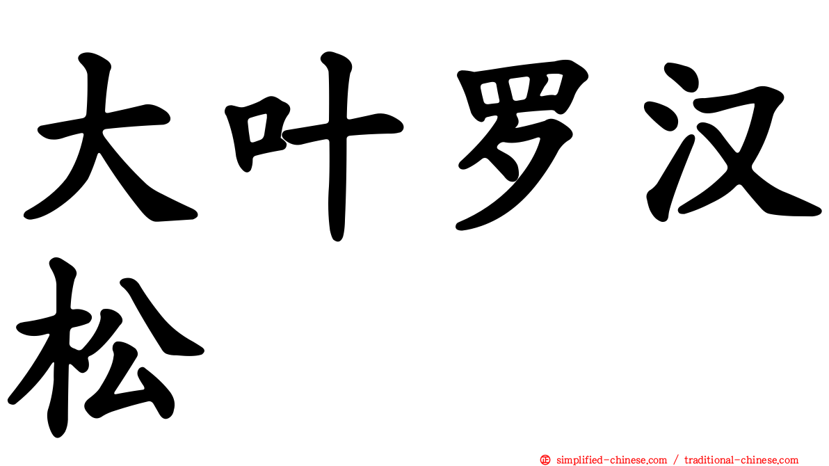 大叶罗汉松