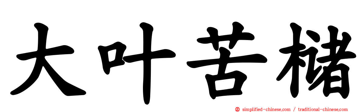 大叶苦槠