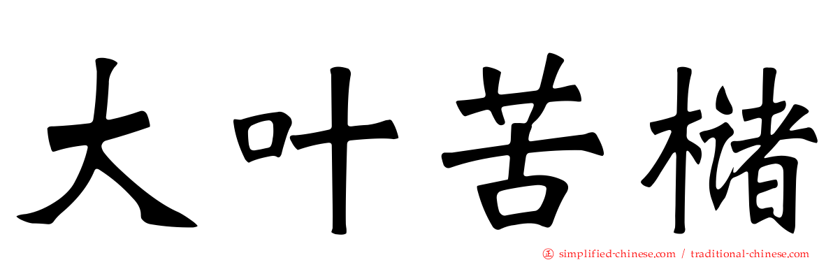 大叶苦槠