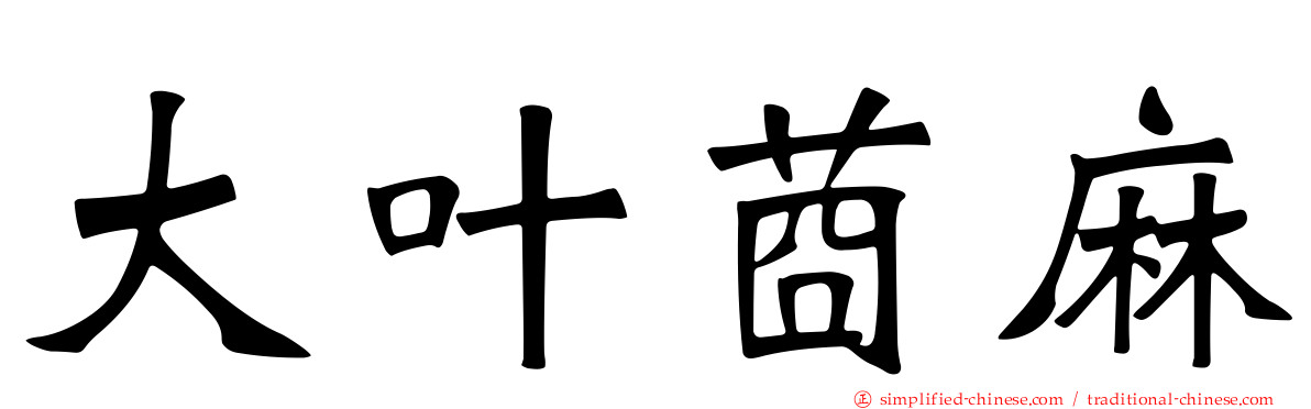 大叶莔麻