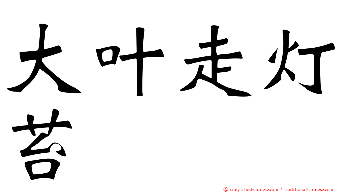 大叶走灯苔