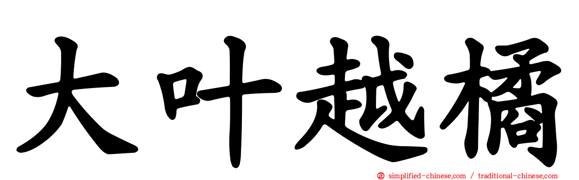 大叶越橘