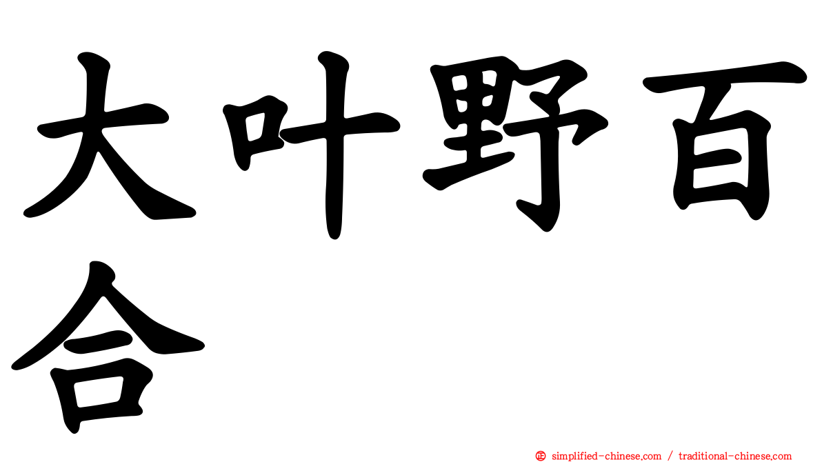 大叶野百合