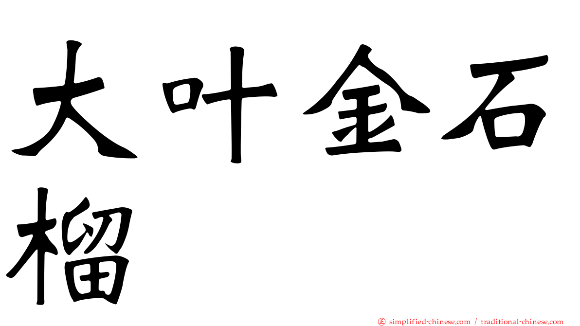 大叶金石榴