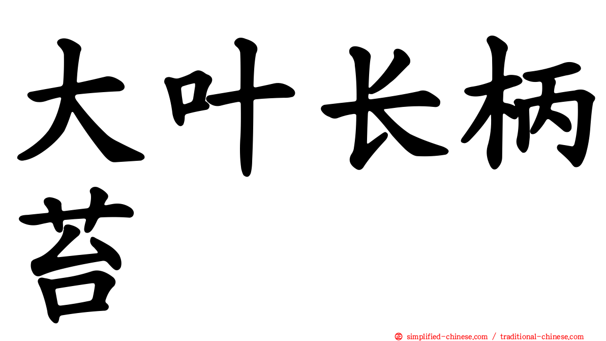大叶长柄苔