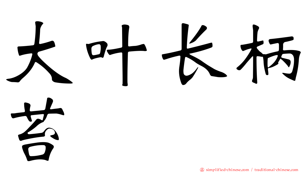 大叶长柄苔