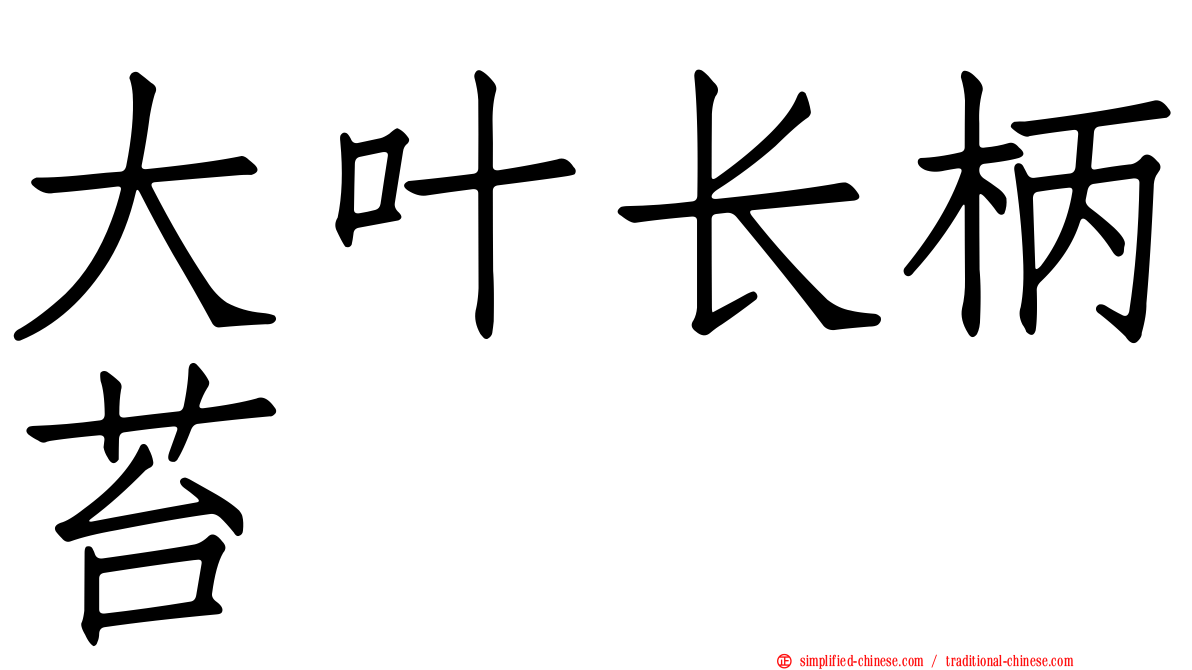 大叶长柄苔