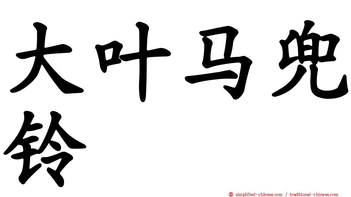 大叶马兜铃