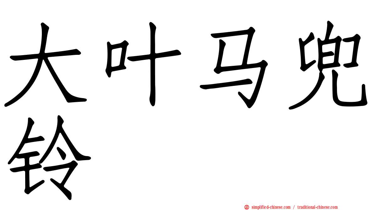大叶马兜铃