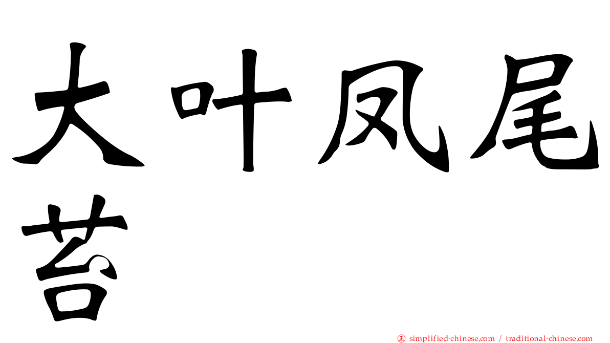大叶凤尾苔