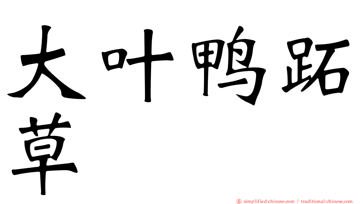 大叶鸭跖草