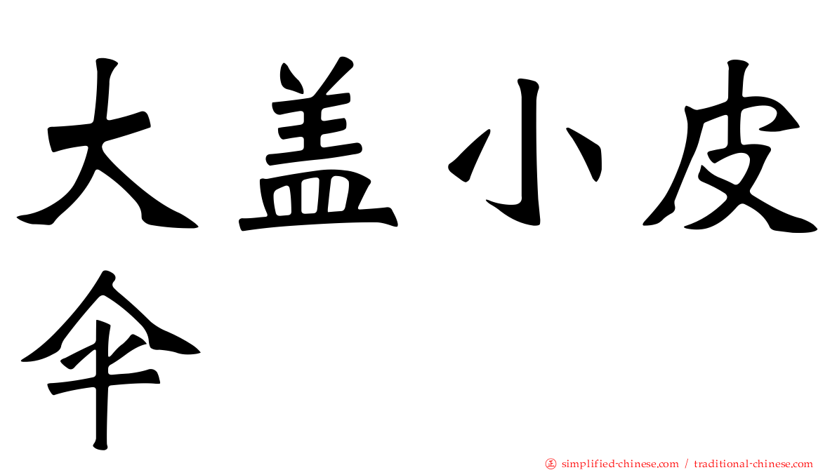 大盖小皮伞