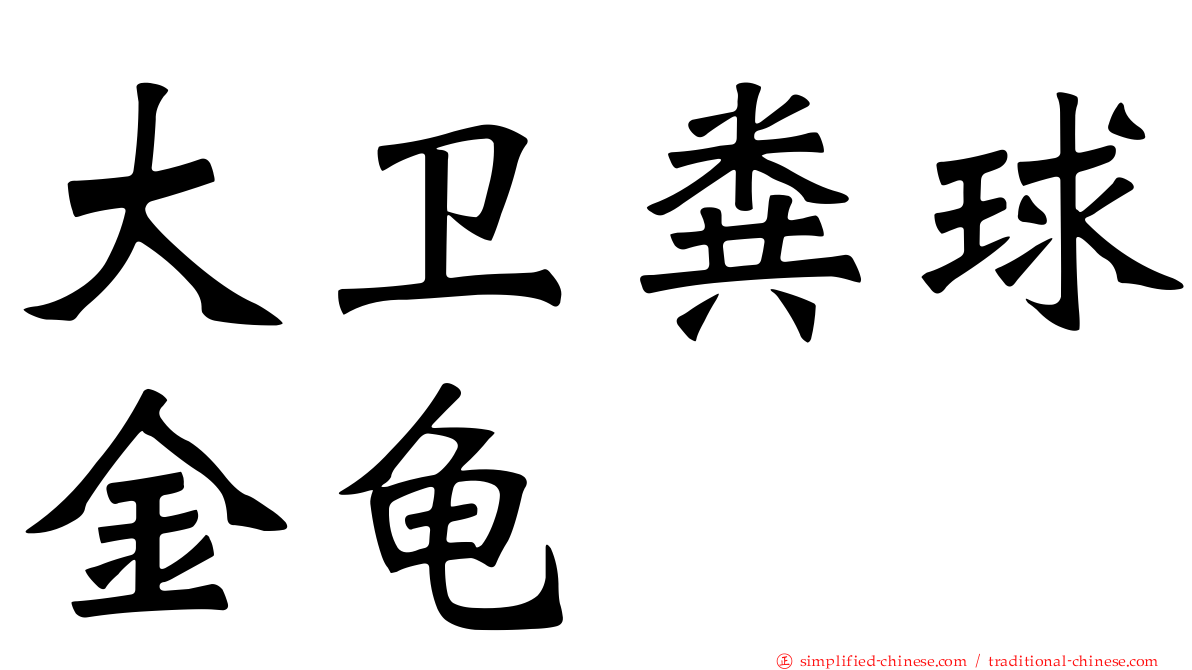 大卫粪球金龟