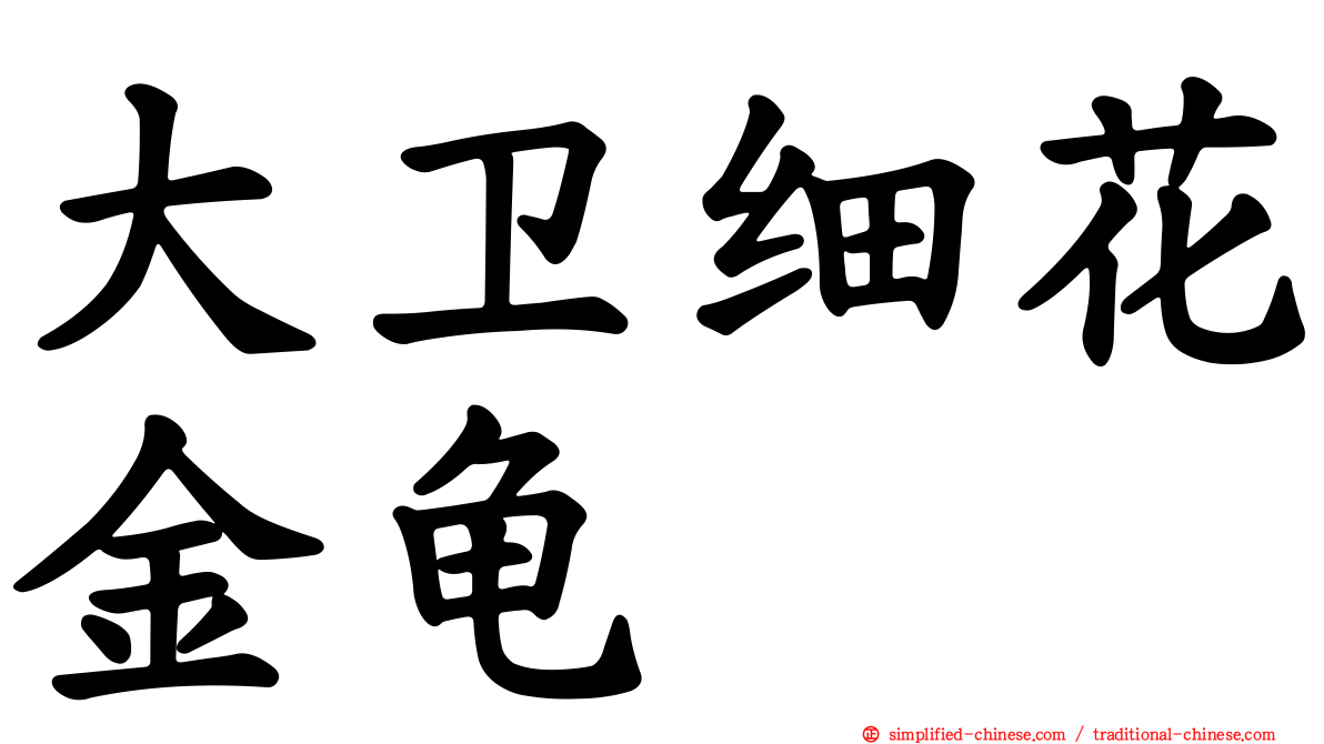 大卫细花金龟