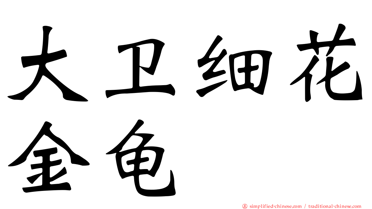 大卫细花金龟