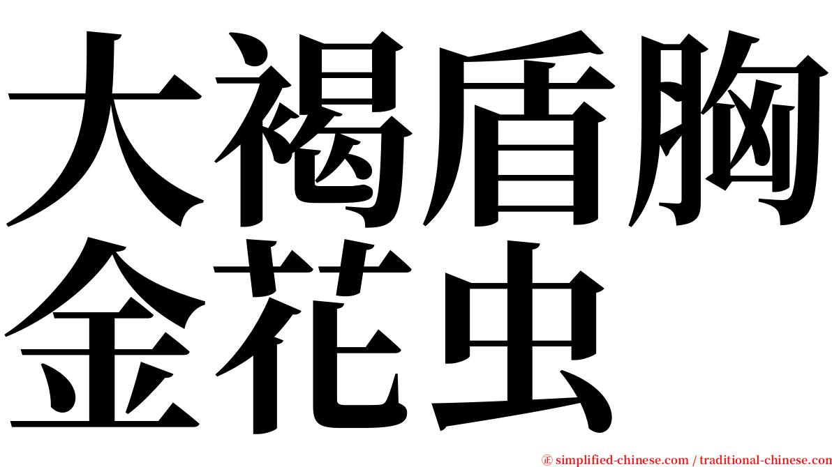 大褐盾胸金花虫 serif font