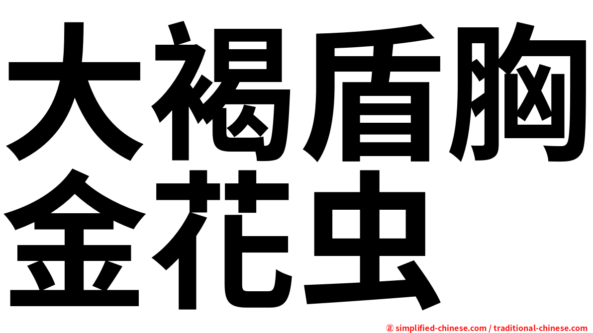 大褐盾胸金花虫