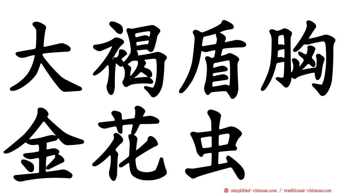 大褐盾胸金花虫