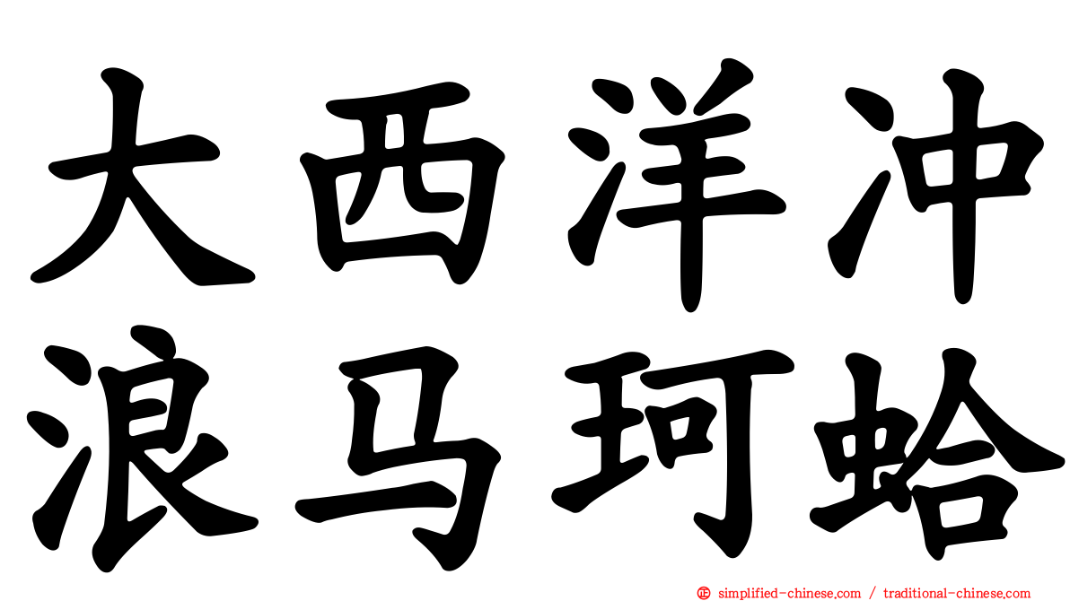 大西洋冲浪马珂蛤