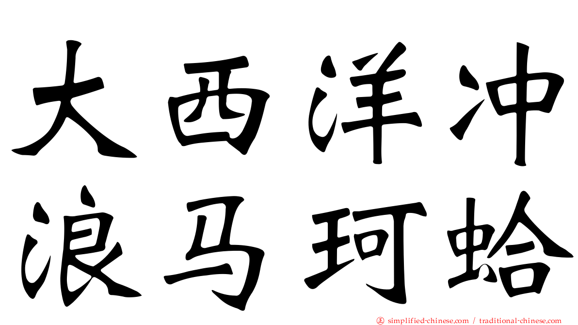 大西洋冲浪马珂蛤