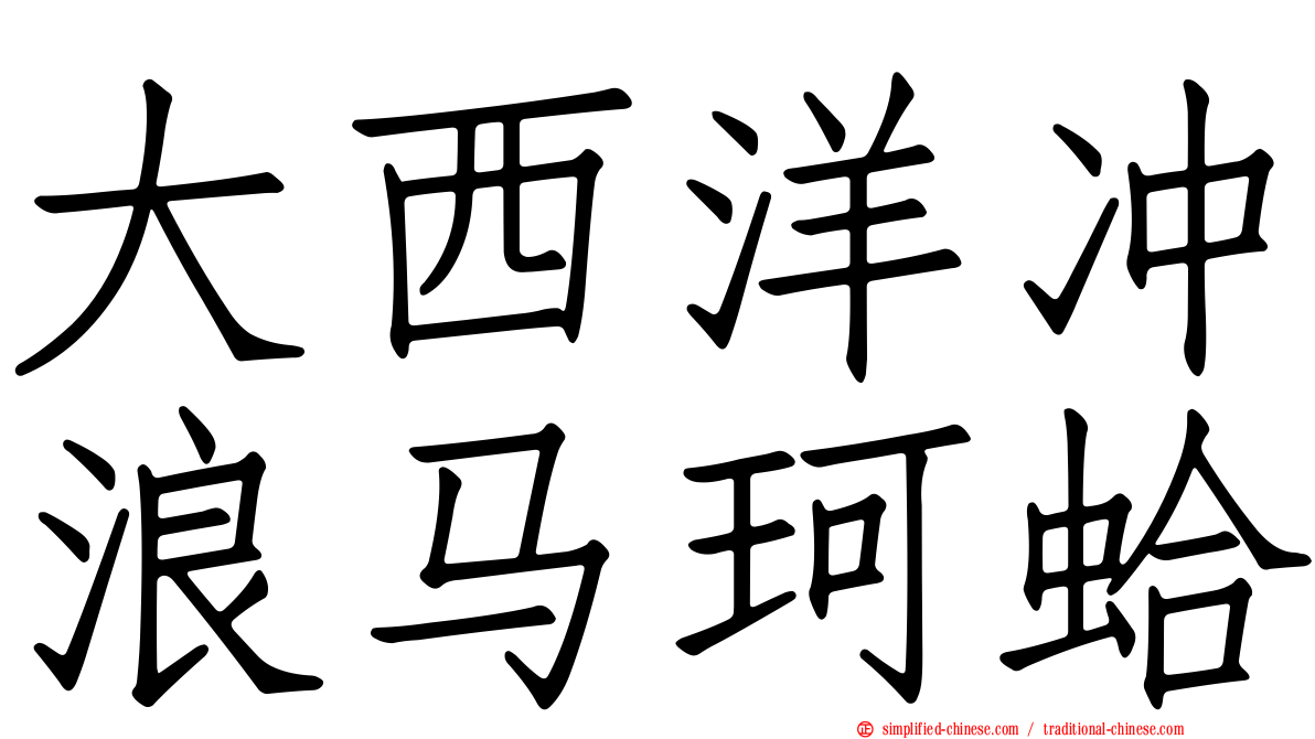 大西洋冲浪马珂蛤