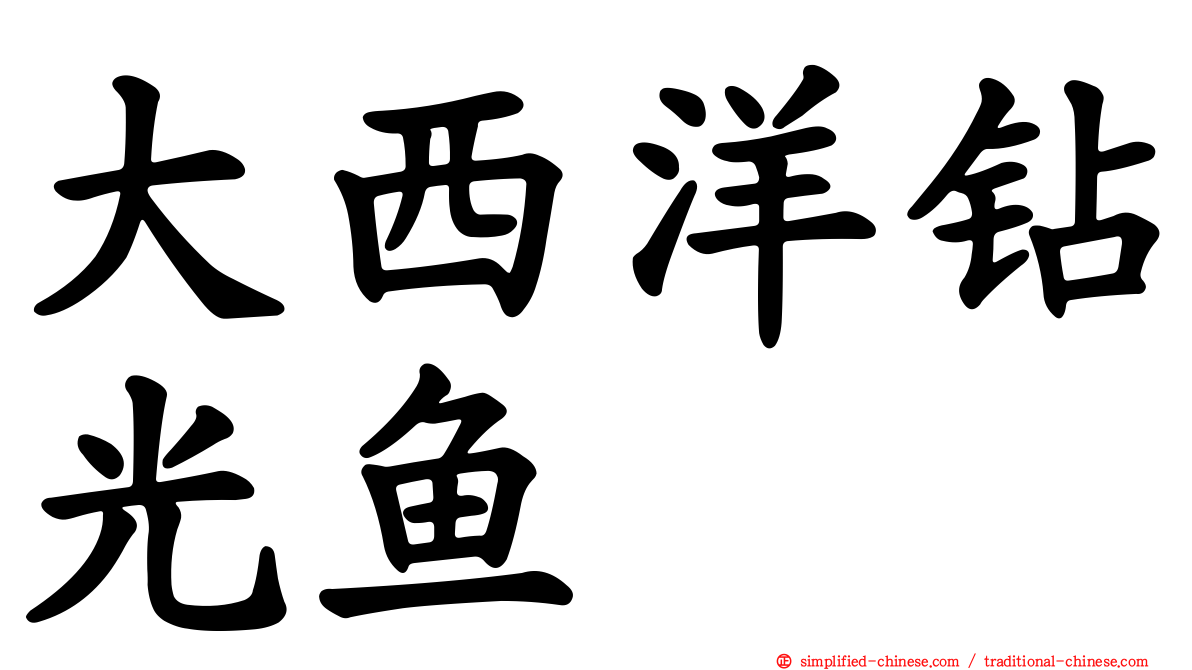 大西洋钻光鱼