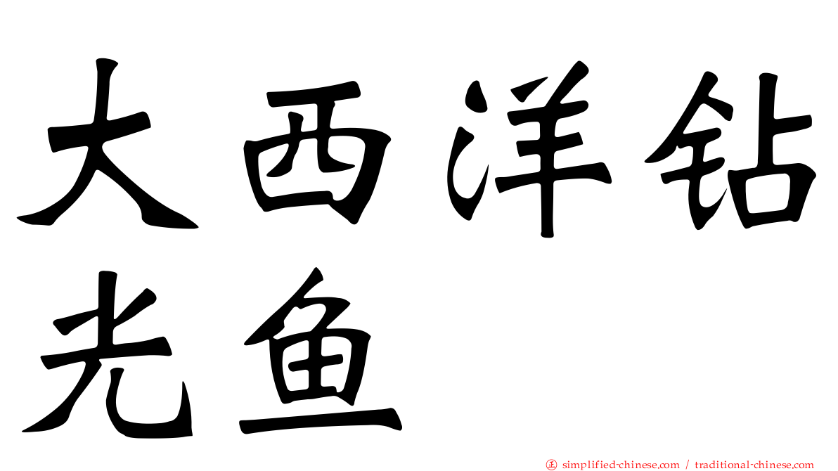 大西洋钻光鱼