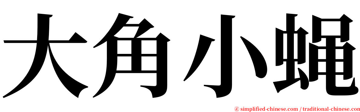 大角小蝇 serif font