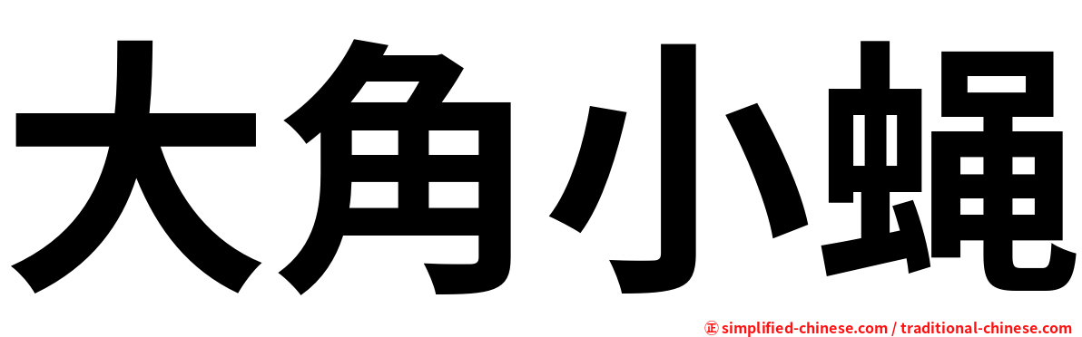 大角小蝇