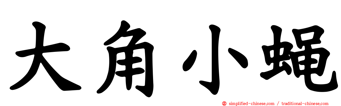 大角小蝇
