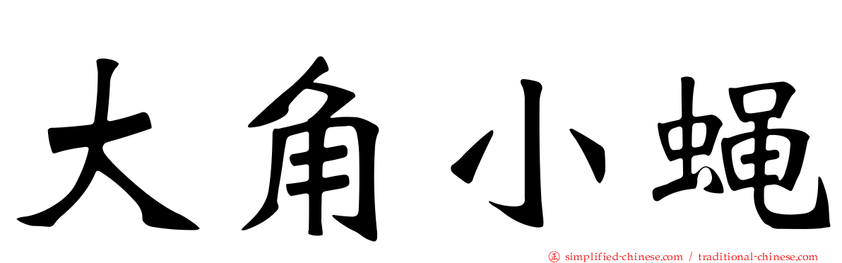 大角小蝇