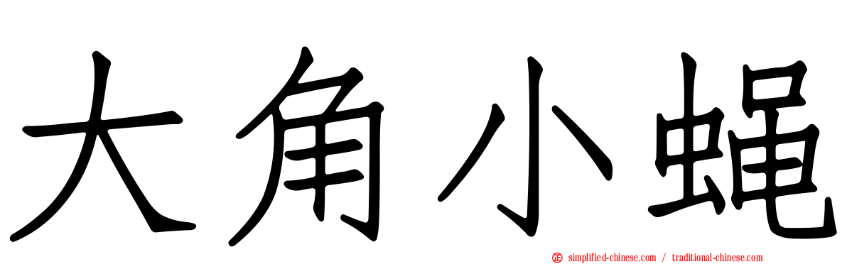 大角小蝇