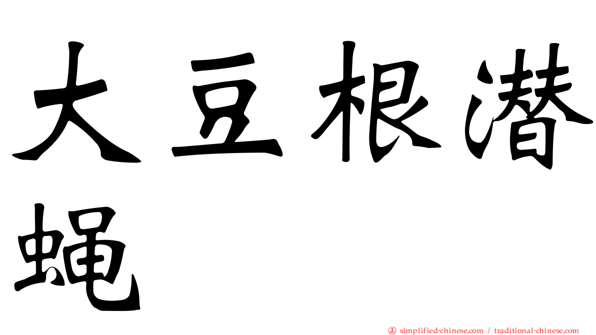 大豆根潜蝇