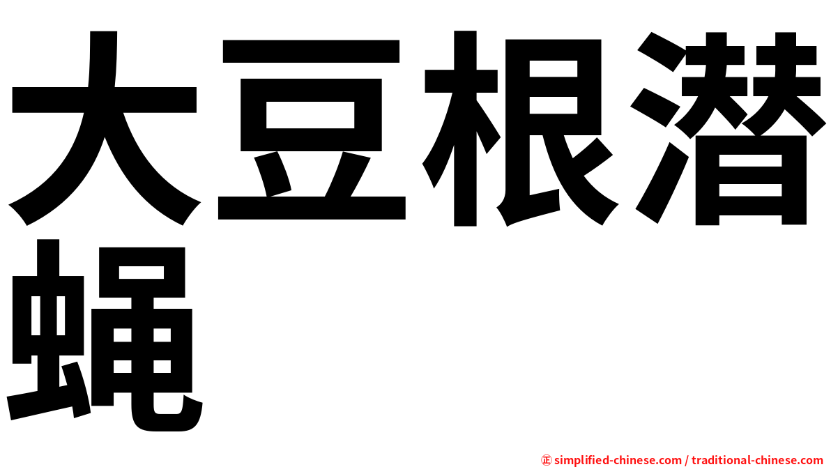 大豆根潜蝇