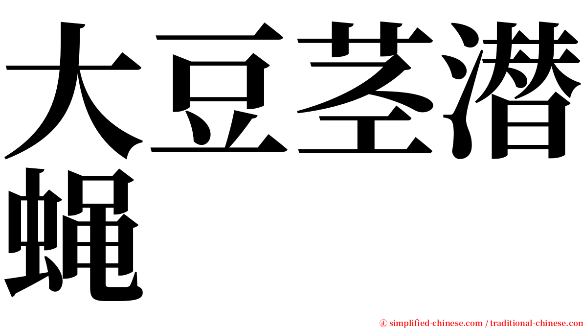 大豆茎潜蝇 serif font