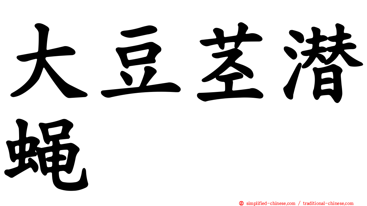 大豆茎潜蝇